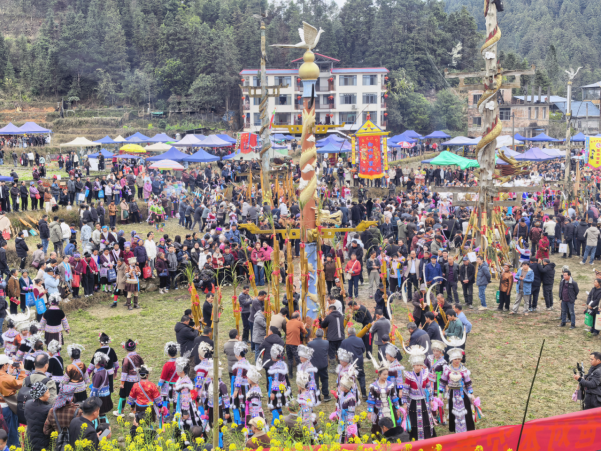 db0c1647-0643-445e-bf61-efea1987dcb8