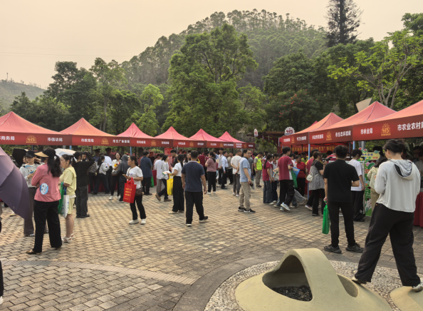 梧州市启动全民国家安全教育日宣传活动